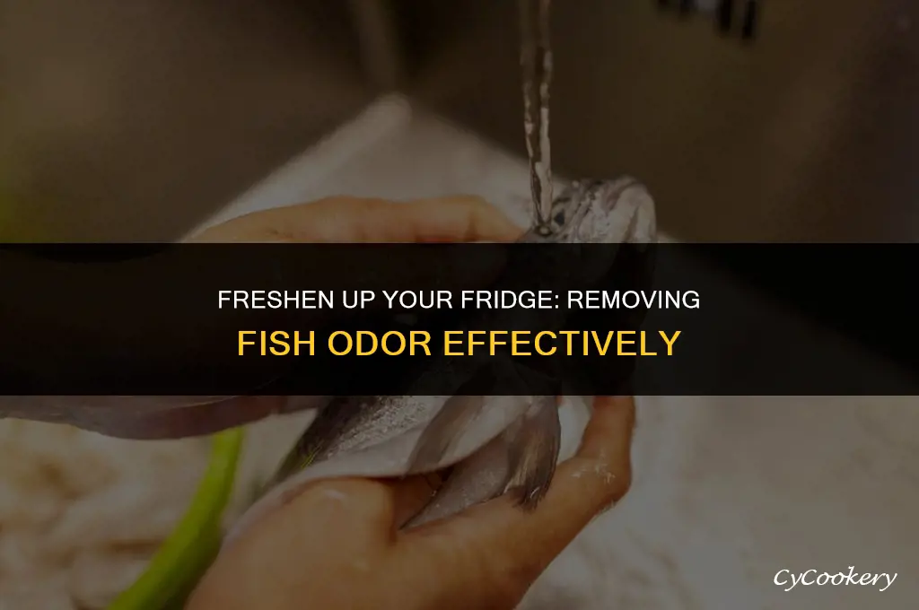 how to get a fish smell out of refrigerator