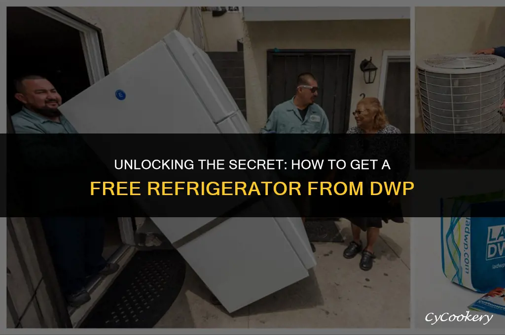 how to get a free refrigerator from dwp