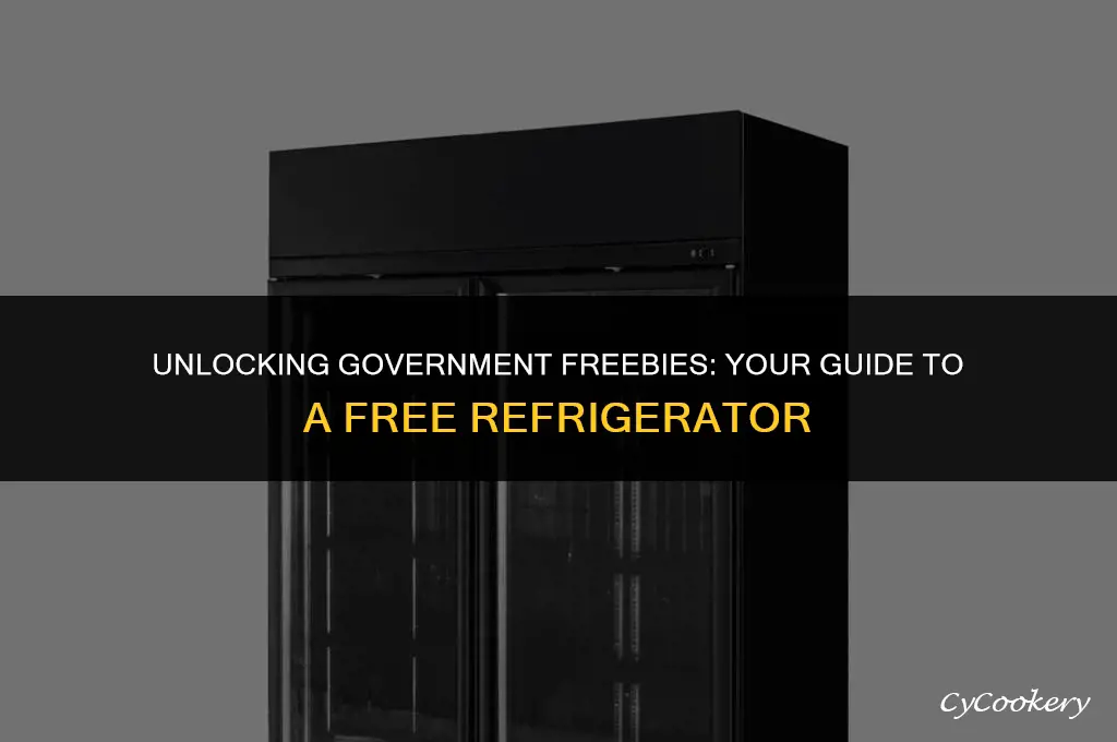 how to get a free refrigerator from the government
