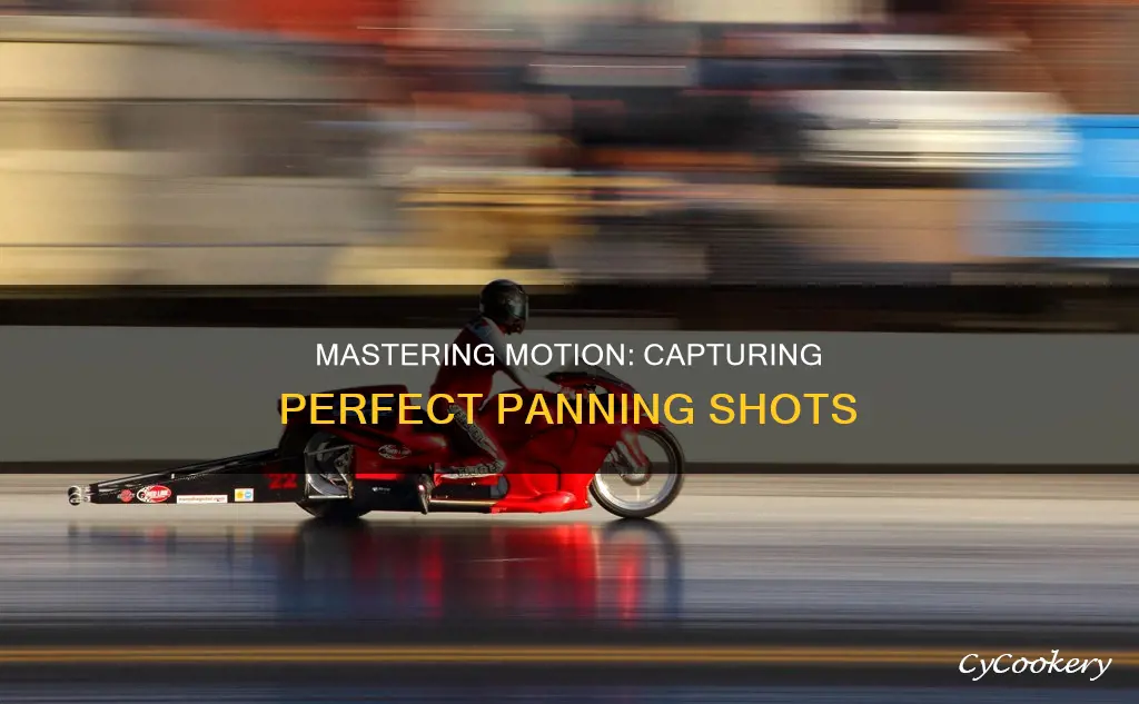 how to get a good panning shot