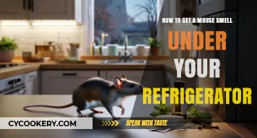 Eliminate Pesky Mouse Odors: A Guide to Freshening Your Kitchen