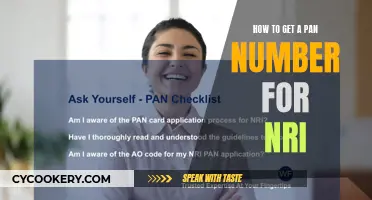 Steps to Get a PAN Card as an NRI