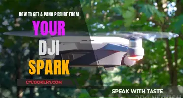 Capturing Panoramas: DJI Spark's Guide to Panoramic Pictures