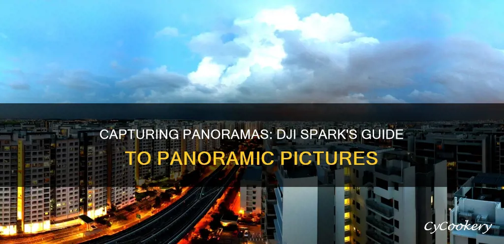 how to get a pano picture from your dji spark