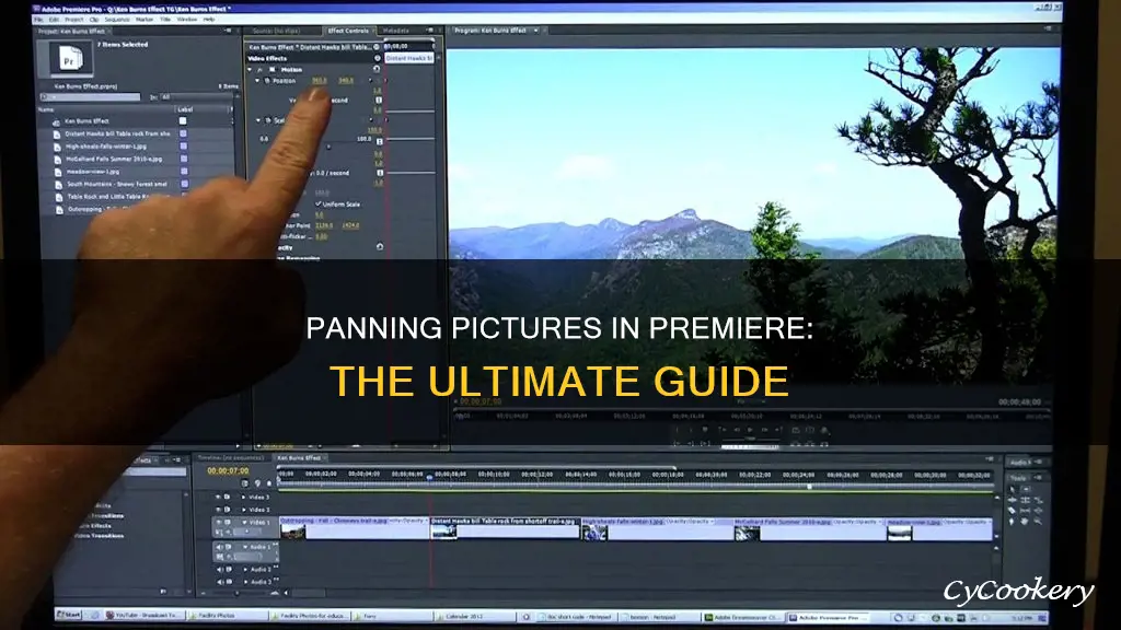 how to get a picture to pan in premiere