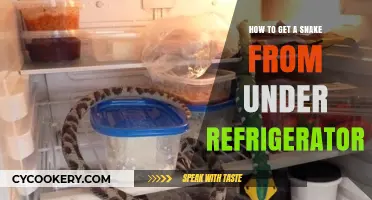 Sneaky Serpent Retrieval: A Guide to Safely Remove Snakes from Under Your Fridge
