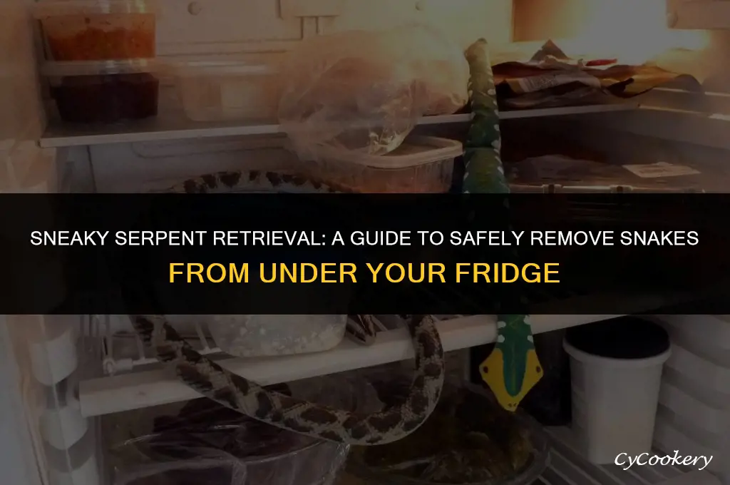 how to get a snake from under refrigerator