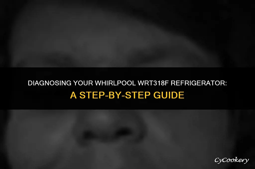 how to get a whirlpool refrigerator wrt318f in diagnostics