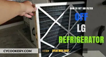 Easy Steps to Remove the Air Filter from Your LG Fridge