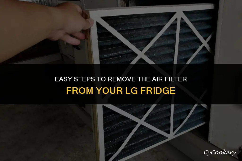 how to get air filter off lg refrigerator