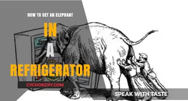 The Ultimate Guide to Fitting an Elephant in Your Fridge