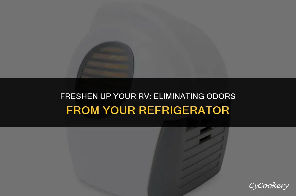 how to get bad smell out of rv refrigerator