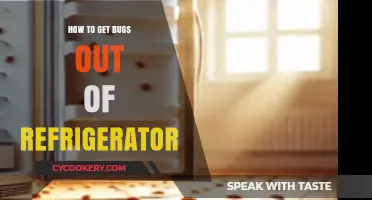 Effective Ways to Remove Bugs from Your Refrigerator Quickly and Safely