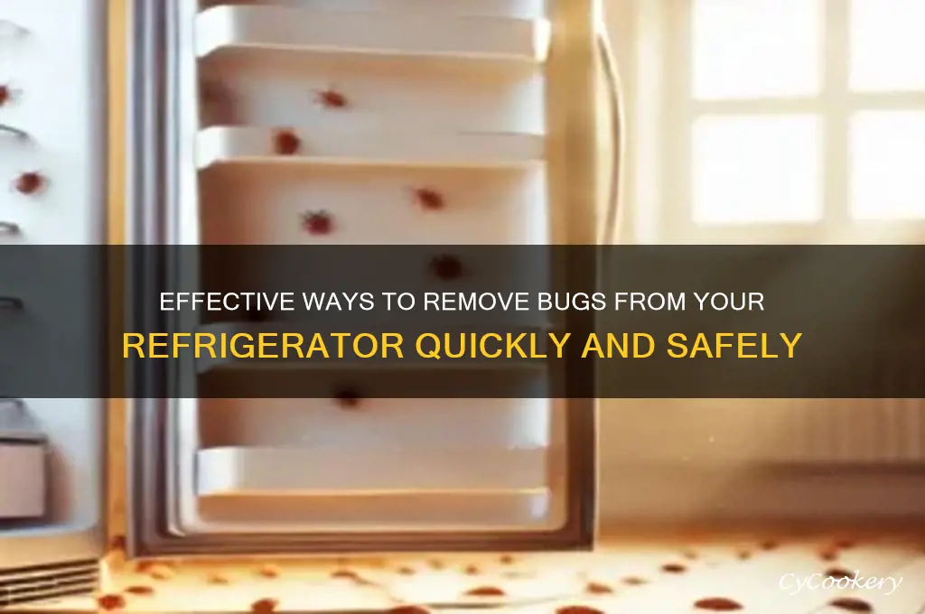how to get bugs out of refrigerator