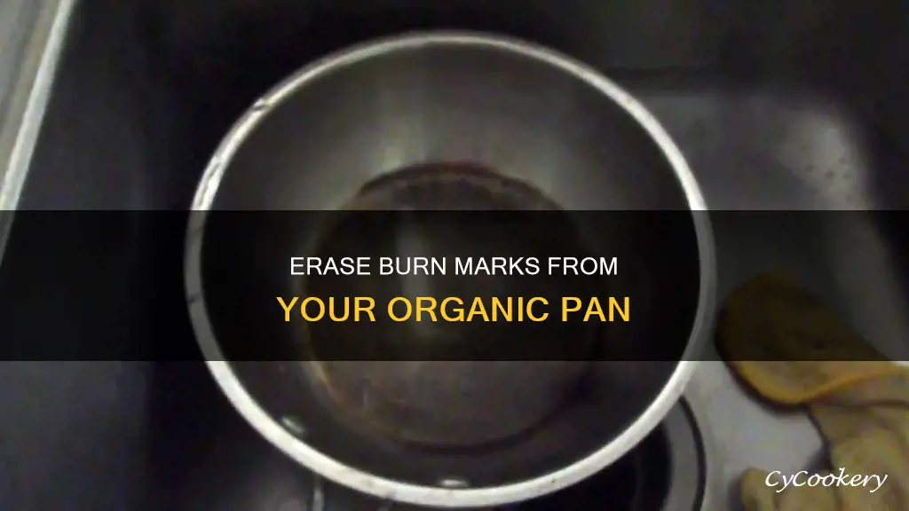 how to get burn marks out of organixs pan