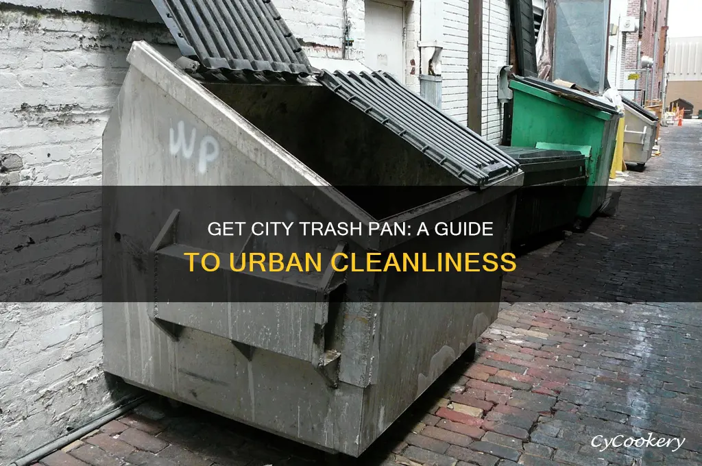 how to get city trash pan