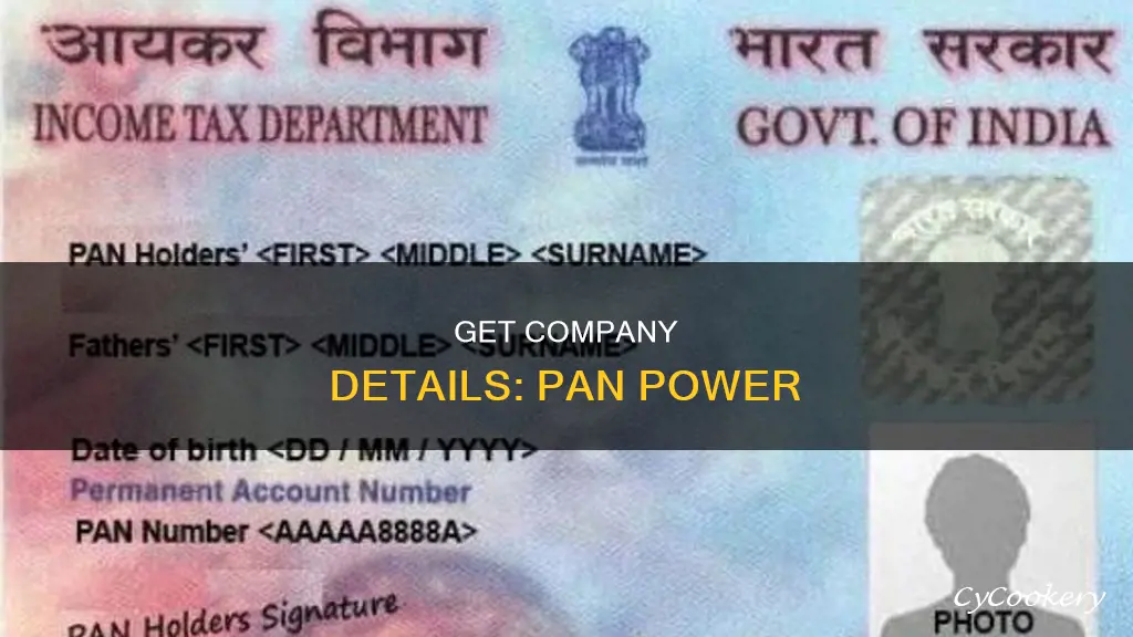 how to get company details from pan number