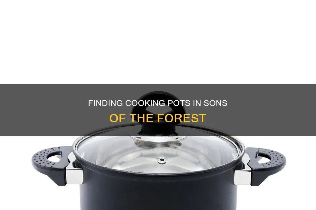 how to get cooking pot in sons of the forest