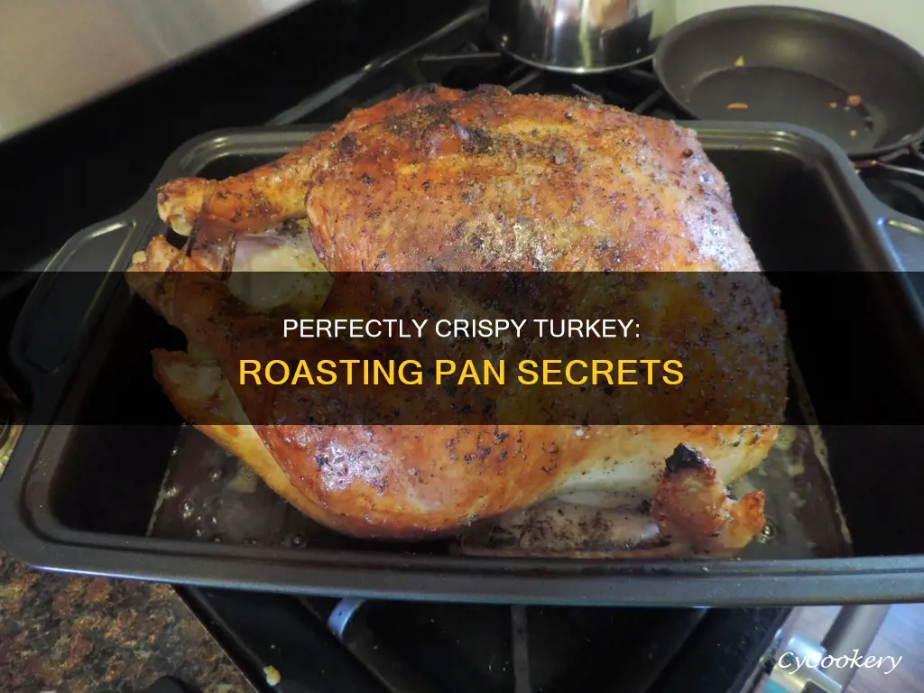 how to get crispy turkey in a roasting pan