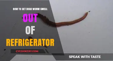 Eliminating Dead Worm Odor from Your Refrigerator: A Simple Guide