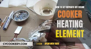 Cleaning Steam Cooker Heating Elements: Removing Deposits