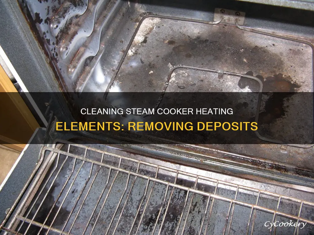 how to get deposits off steam cooker heating element