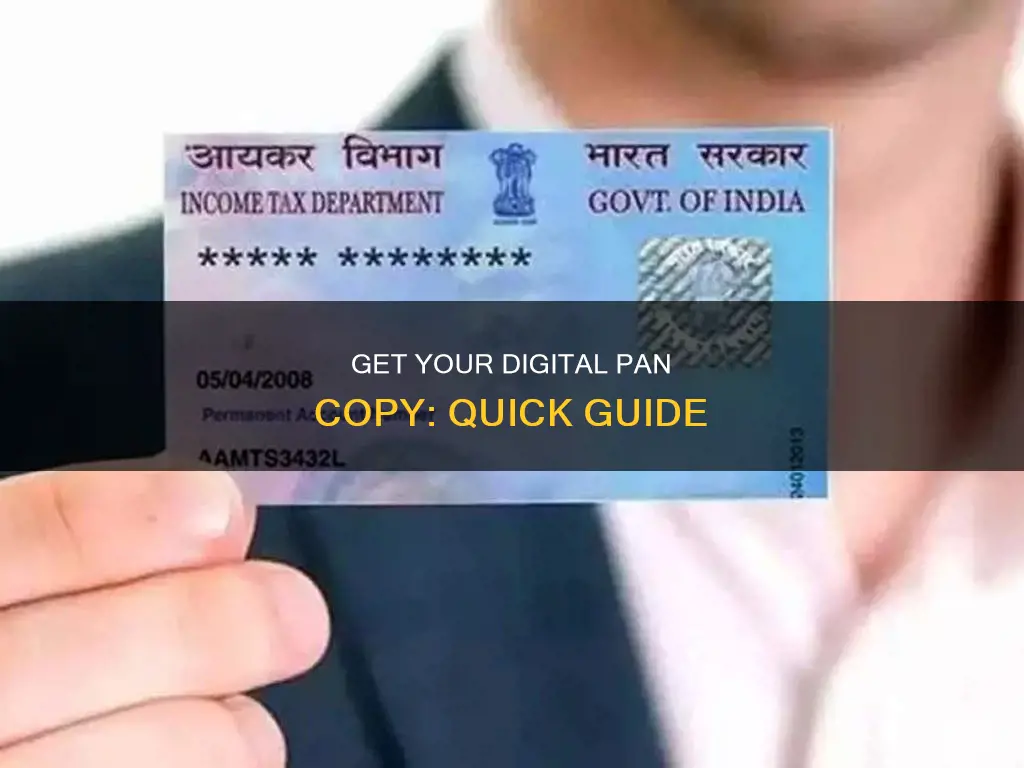 how to get digital pan copy