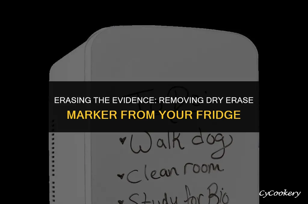 how to get dry erase marker off refrigerator