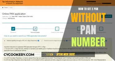 Get e-PAN Without a PAN Number: A Simple Guide