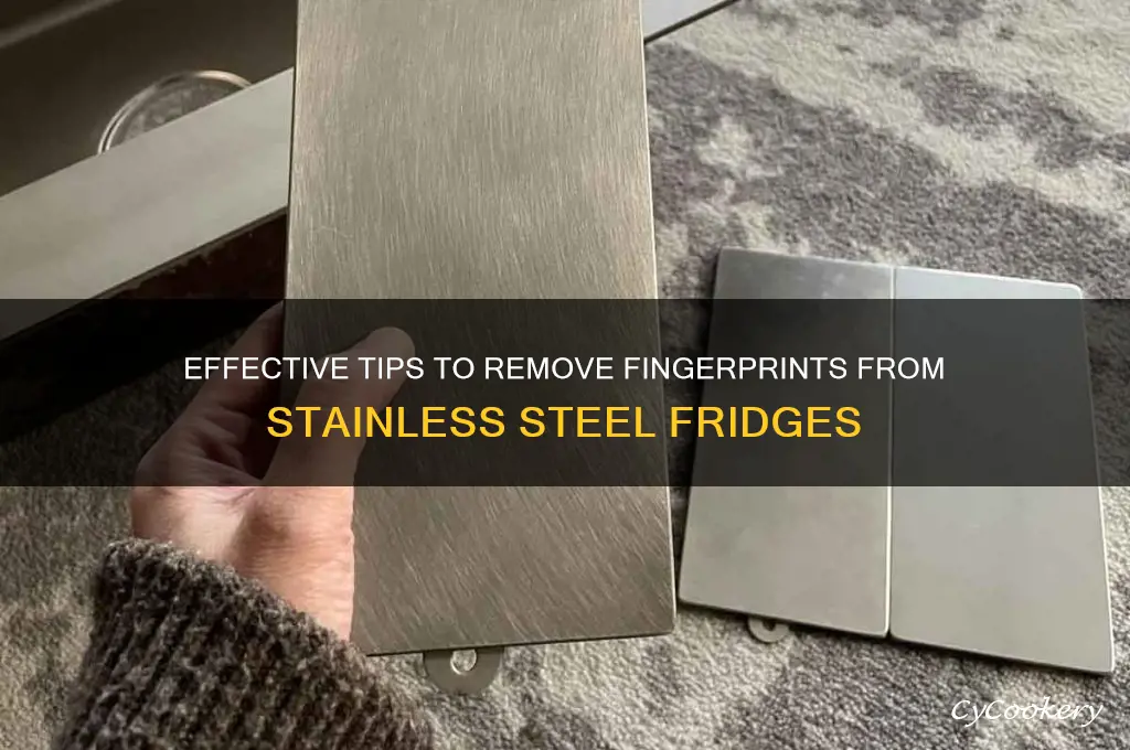 how to get fingerprints off stainless steel refrigerator