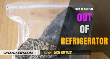 Effective Ways to Remove Flies from Your Refrigerator Quickly