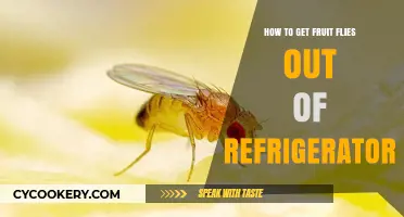 Banish Fruit Flies from Your Fridge: A Comprehensive Guide