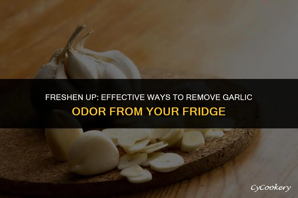 how to get garlic smell out of refrigerator
