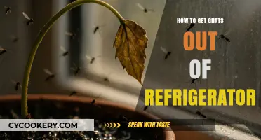 Effective Ways to Eliminate Gnats from Your Refrigerator Quickly