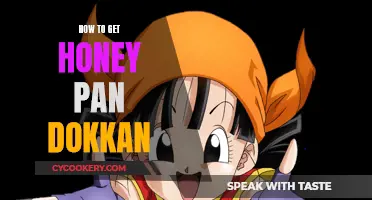 Dokkan: Getting the Elusive Honey Pan