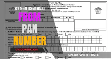 PAN Card Income: Accessing Financial Details