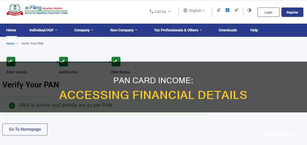 how to get income details from pan number