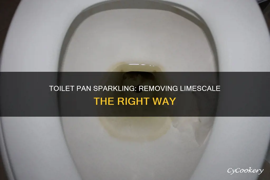 how to get limescale off toilet pan