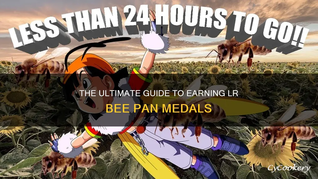 how to get lr bee pan medals