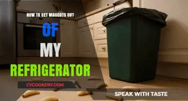 Effective Ways to Eliminate Maggots from Your Refrigerator