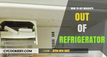 Effective Ways to Remove Maggots from Your Refrigerator Quickly