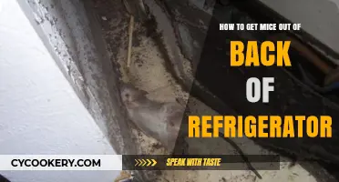 Effective Ways to Eliminate Mice from Behind Your Refrigerator