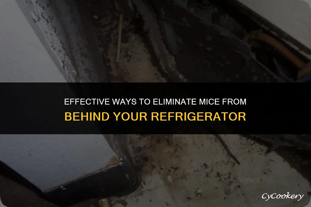 how to get mice out of back of refrigerator