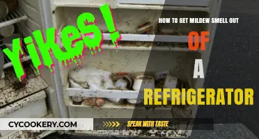 Freshen Up Your Fridge: A Guide to Eliminating Mildew Odors