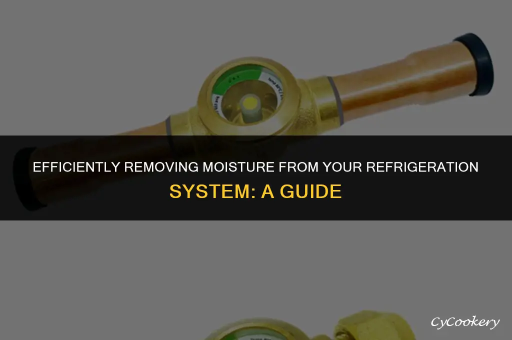how to get moisture out of a refrigeration system
