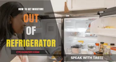 Effective Ways to Remove Moisture from Your Refrigerator Quickly