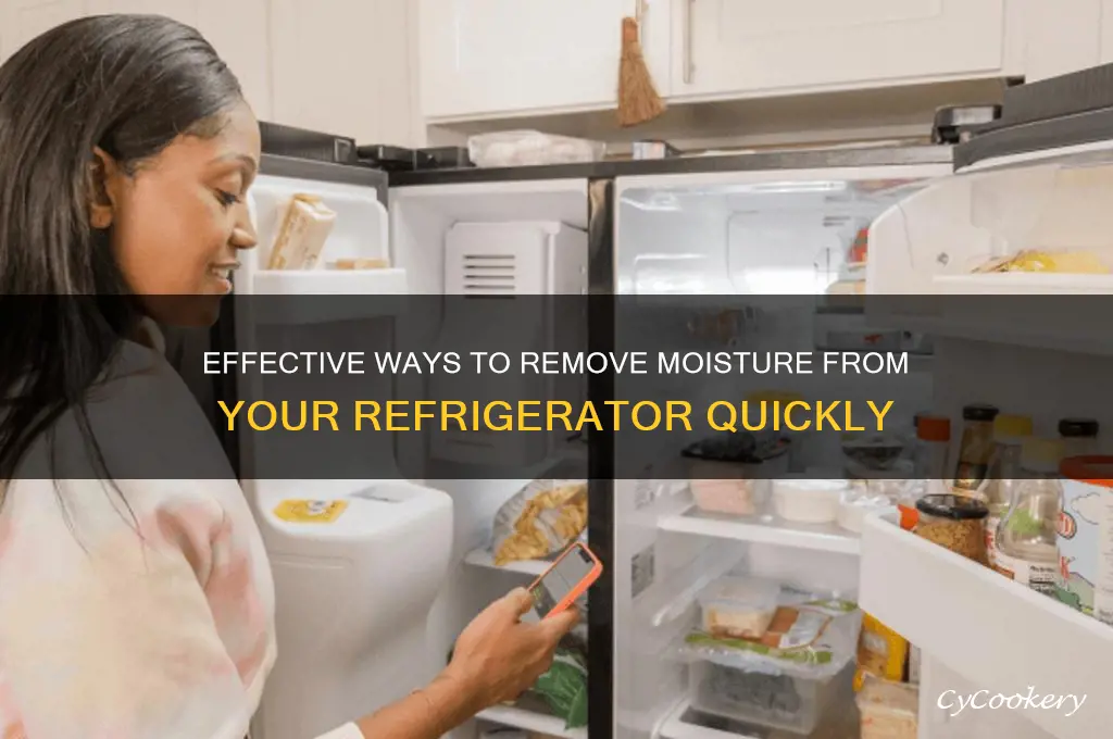 how to get moisture out of refrigerator