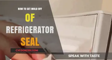 Effective Ways to Remove Mold from Your Refrigerator Seal