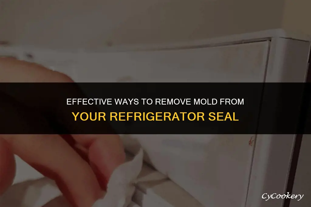 how to get mold off of refrigerator seal
