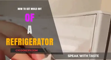 Effective Ways to Remove Mold from Your Refrigerator Safely